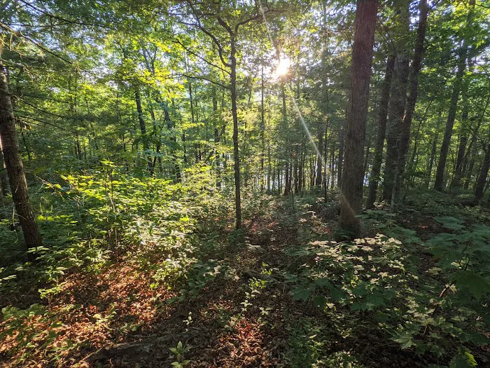 Tsali Campground, US Forest Service, Cheoah Ranger District 8