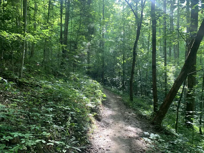Tsali Campground, US Forest Service, Cheoah Ranger District 6