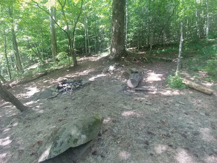Backcountry Campsite #66 7