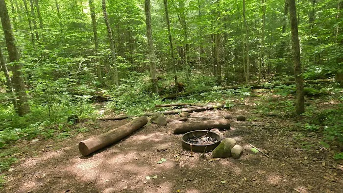 Backcountry Camp 77, Pilkey Creek 3