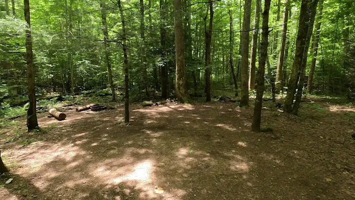 Backcountry Camp 77, Pilkey Creek 1