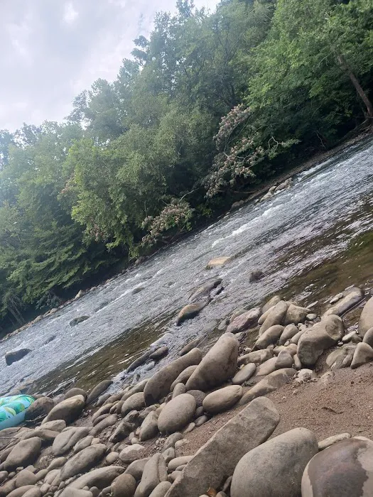 The River Life 2