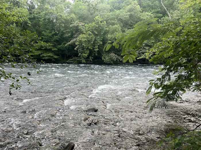 The River Life 1