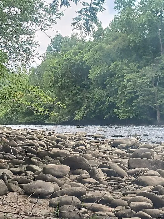 The River Life 0