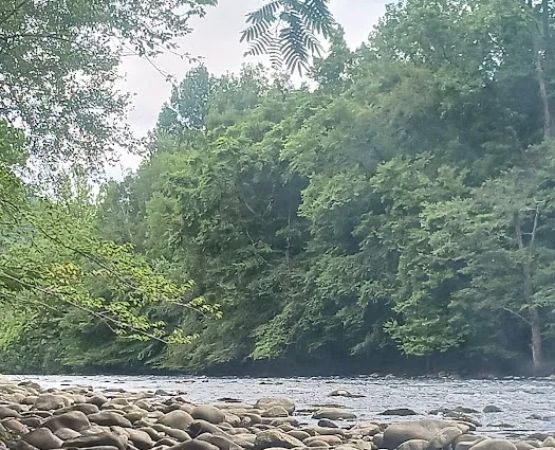 The River Life