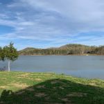 Webb's Lakefront Campground