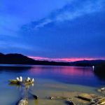 Greenlee of FALL CREEK