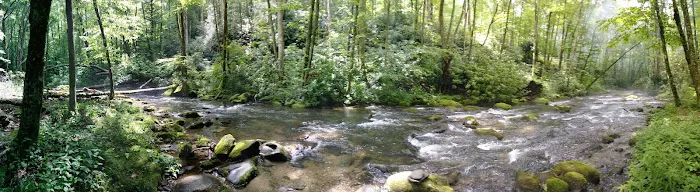 Backcountry Campsite #82 1