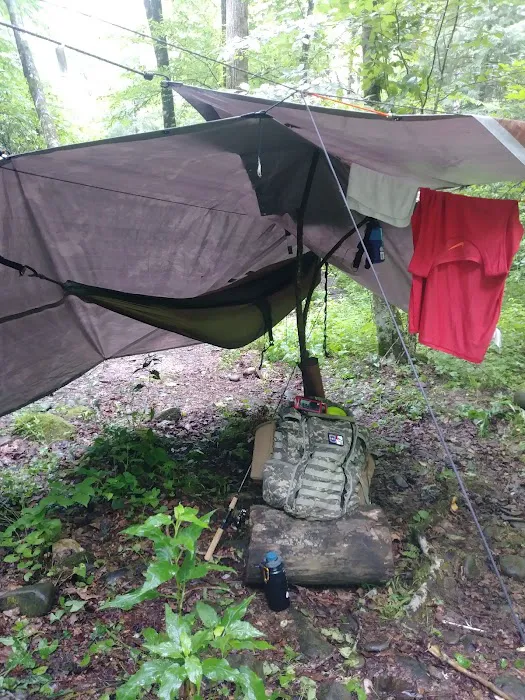 Backcountry Campsite #82 5
