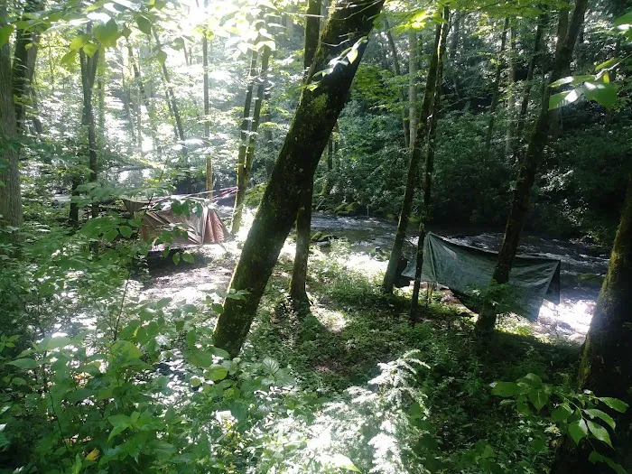 Backcountry Campsite #82 3