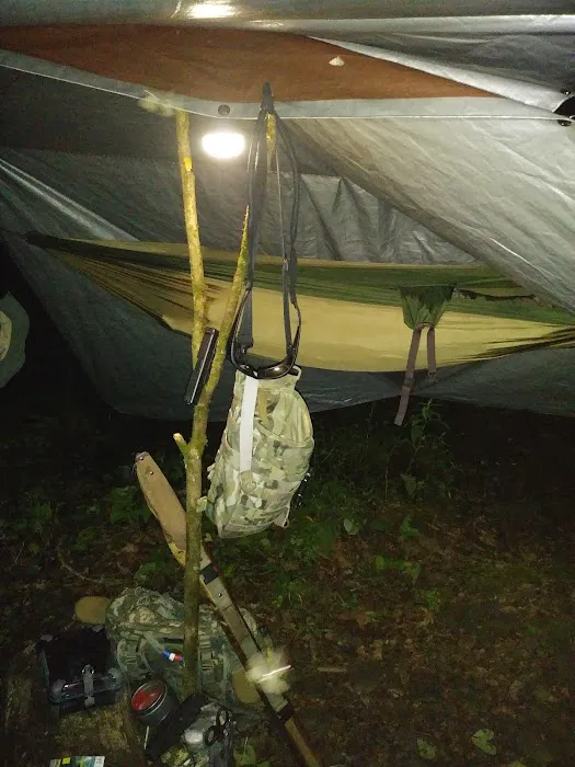 Backcountry Campsite #82 2