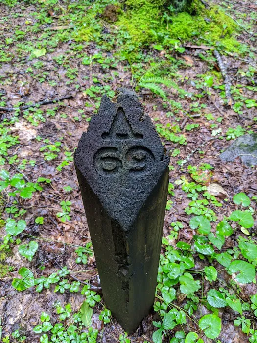 Backcountry Campsite #69 2