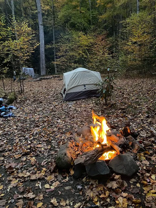 Backcountry Campsite #70 4