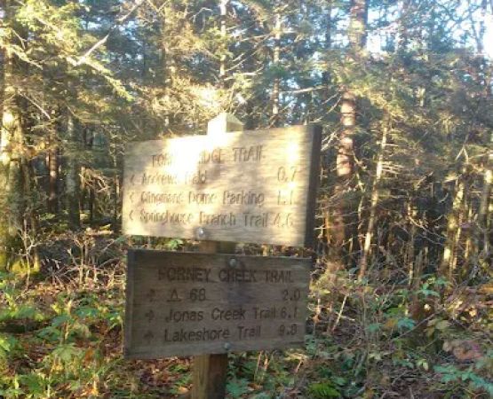 Backcountry Campsite #70