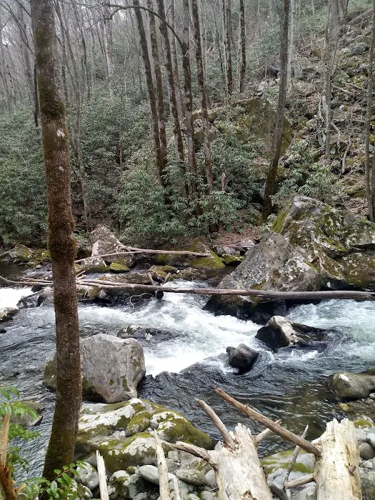 Backcountry Campsite #71 6