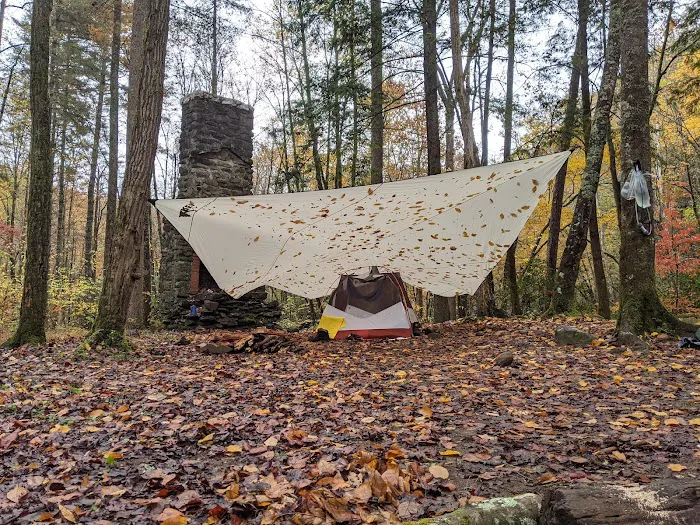 Backcountry Campsite #71 7