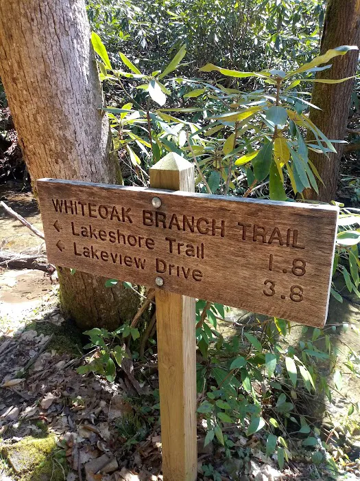 Backcountry Campsite #71 9