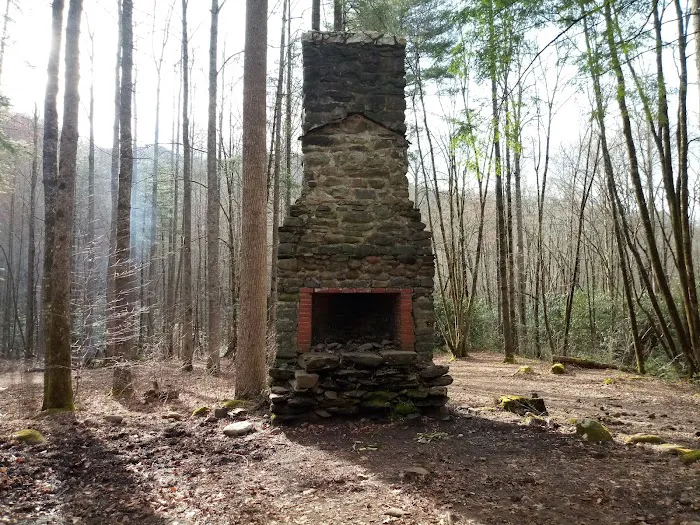 Backcountry Campsite #71 3