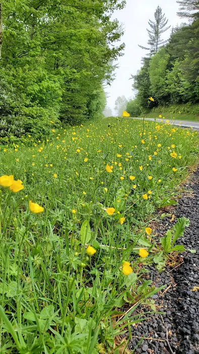 Trailhead 4