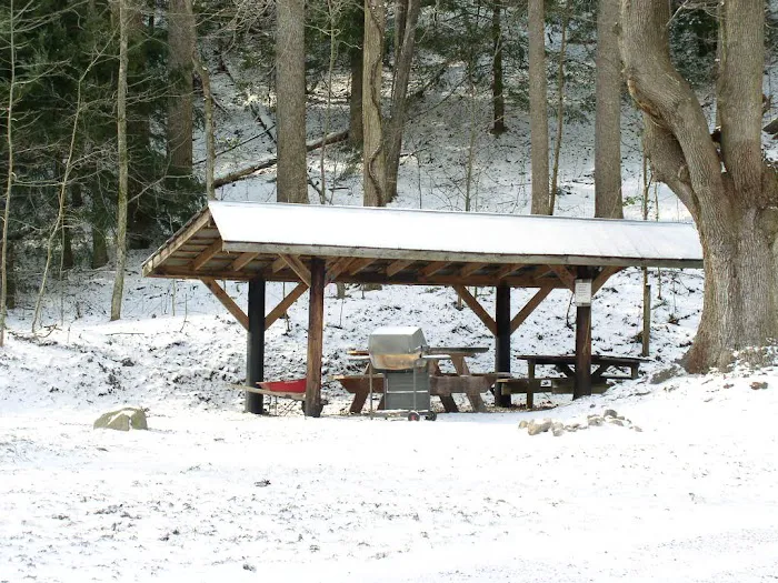 Little Big Creek Horse Camp 5