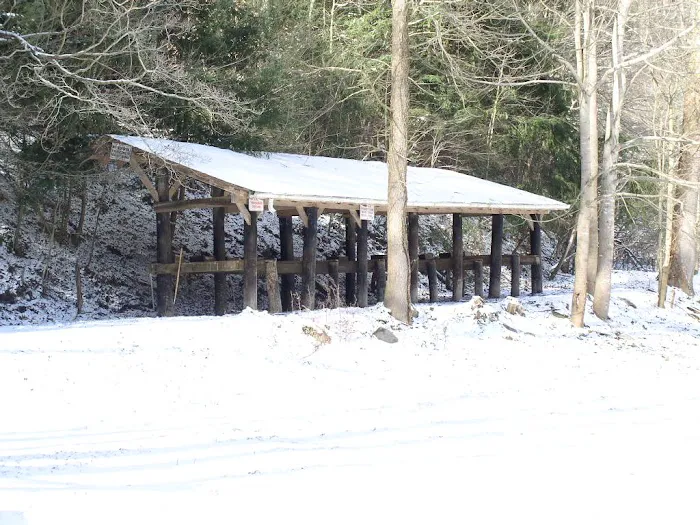 Little Big Creek Horse Camp 3