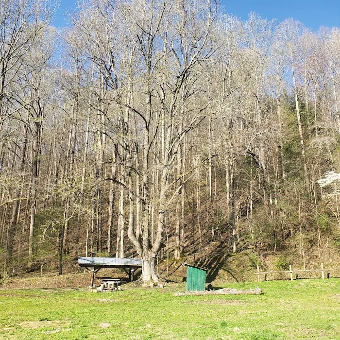 Little Big Creek Horse Camp 4