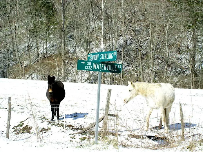 Little Big Creek Horse Camp 6