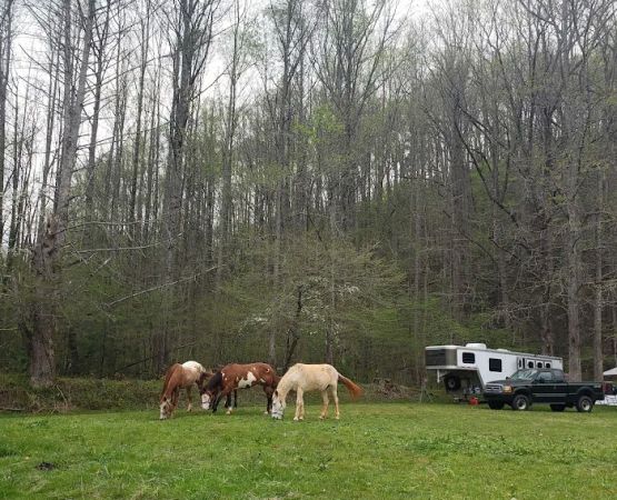 Little Big Creek Horse Camp