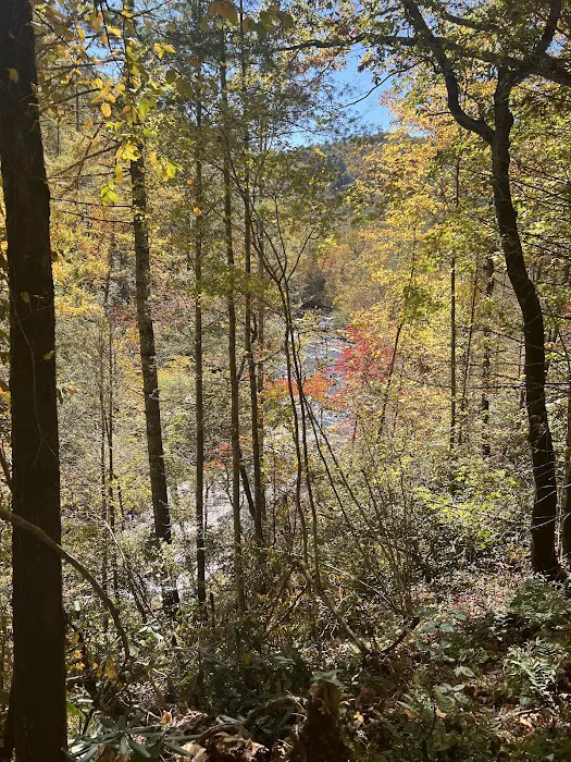 Backcountry Campsite #17 4