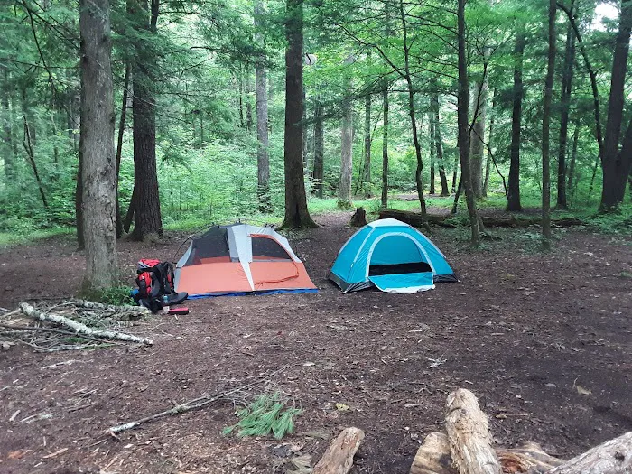 Backcountry Campsite #17 0