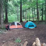 Backcountry Campsite #17