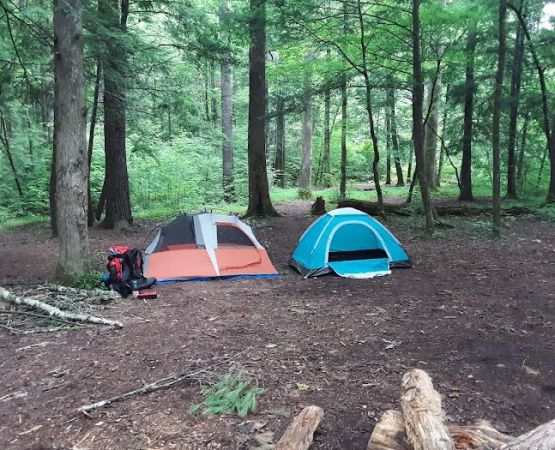Backcountry Campsite #17