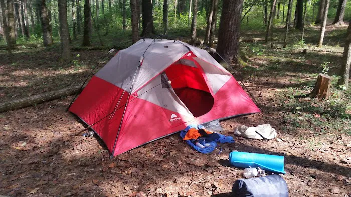 Backcountry Campsite #17 6