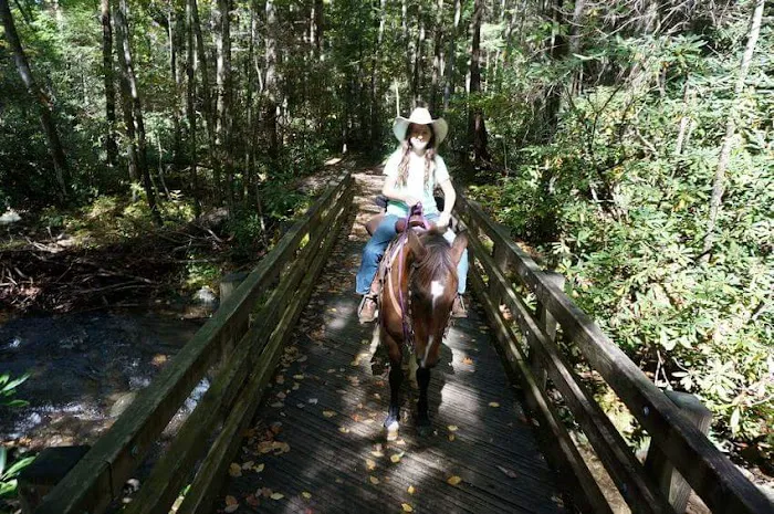 Anthony Creek Horse Camp 1