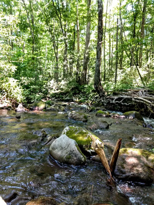 Anthony Creek Horse Camp 9