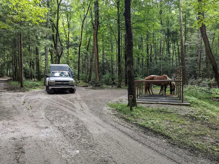 Anthony Creek Horse Camp 3