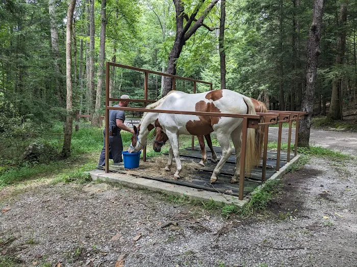 Anthony Creek Horse Camp 4