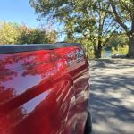 The Forest at Tims Ford