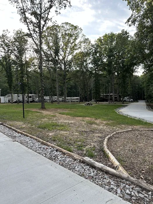The Forest at Tims Ford 5