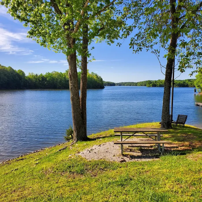 The Forest at Tims Ford 9