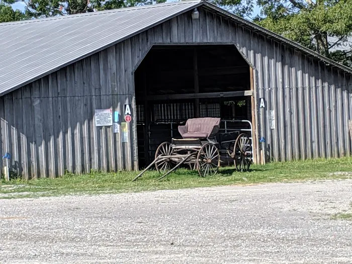 Circle E Guest Ranch 1