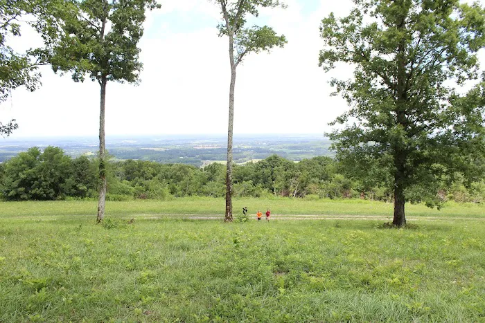 Circle E Guest Ranch 9