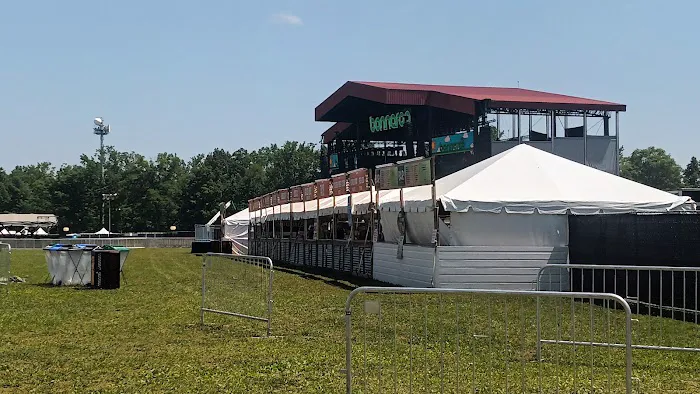 Bonnaroo group campsite 0