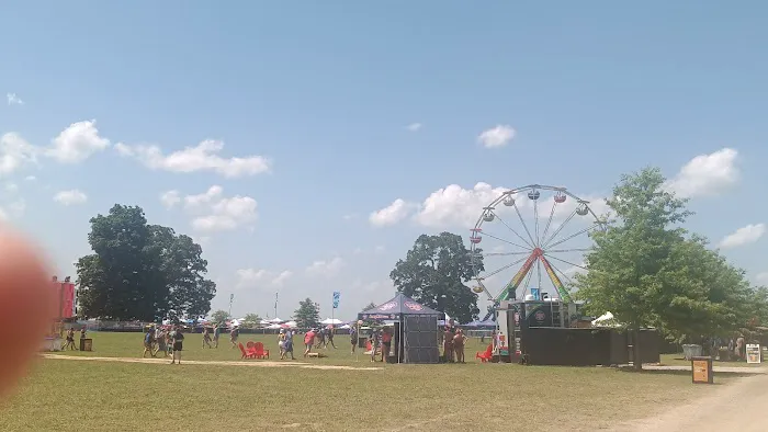 Bonnaroo group campsite 4