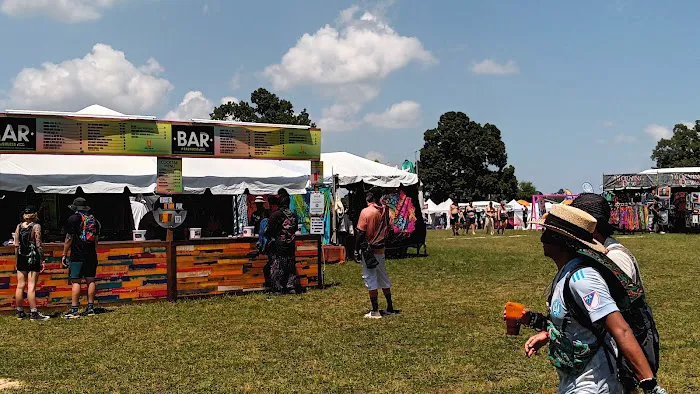 Bonnaroo group campsite 1
