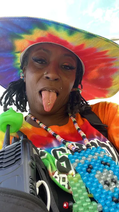Bonaroo Camp 1