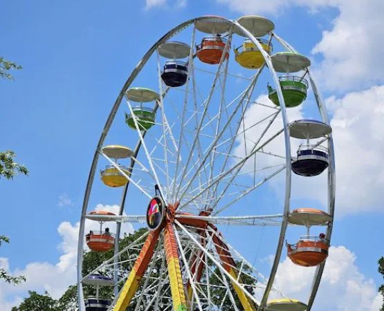 Bonaroo Camp