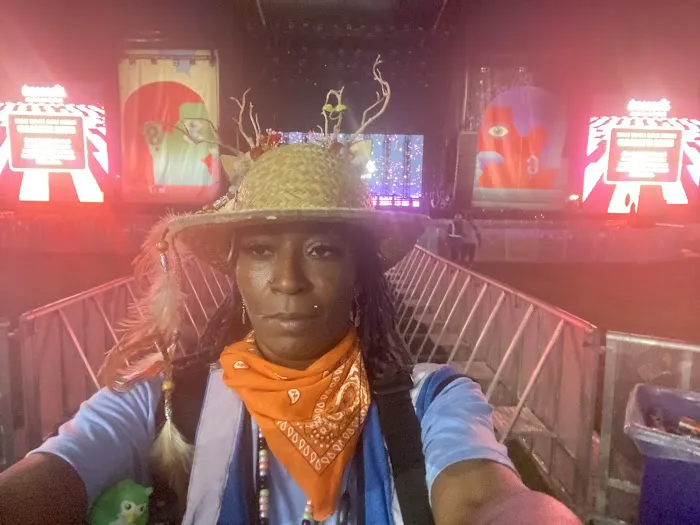 Bonaroo Camp 4
