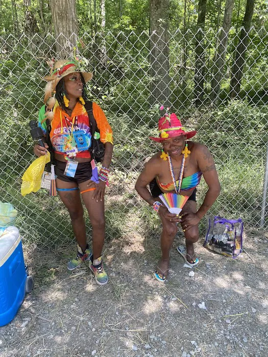 Bonaroo Camp 6