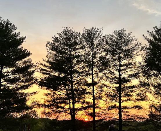 Boxwell Reservation